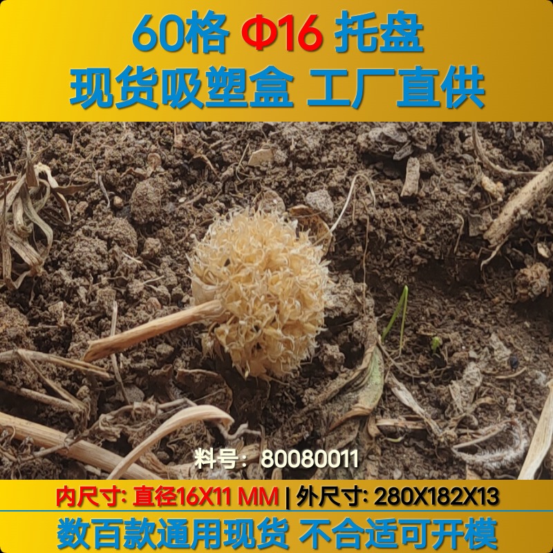 圆形 80080011 φ16×11mm 吸塑盒